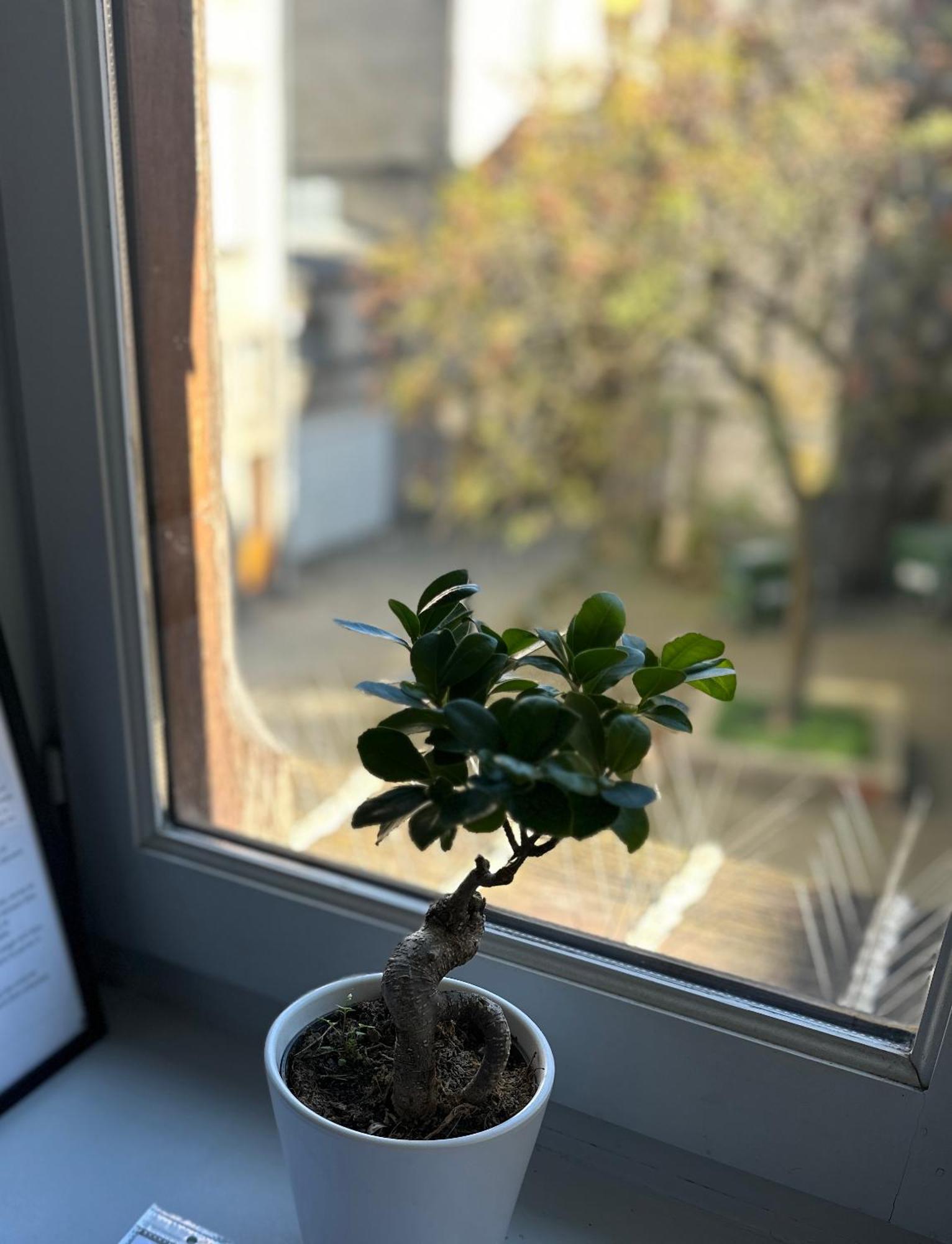 Limoges Centre Appartement De Charme 외부 사진